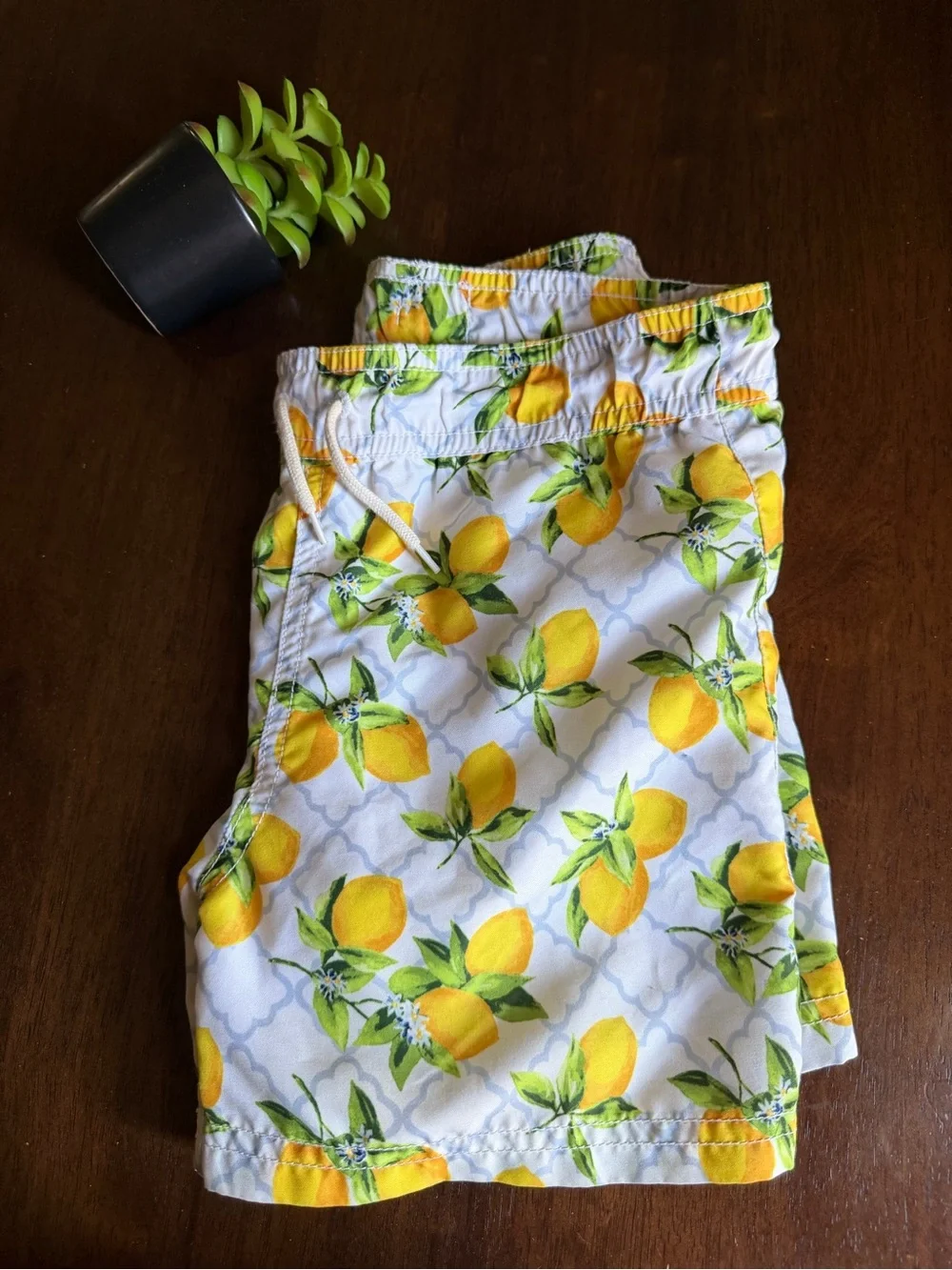 Janie And Jack Lemon Print Swim Trunks Short Size 5